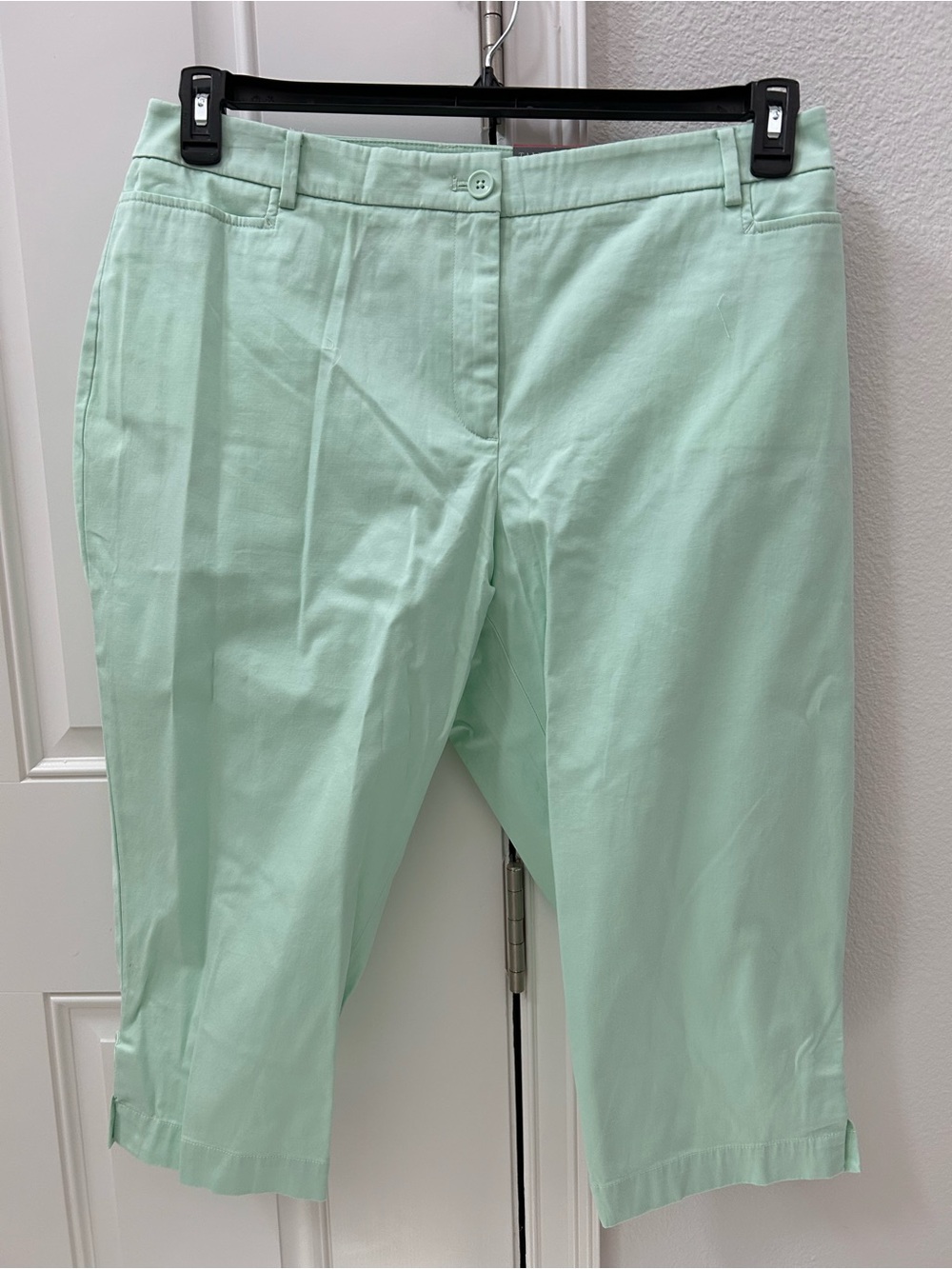 Talbots Mint Green Capri Pants
